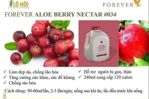 Forever Aloe Berry Nectar (034 Flp) Mua Bán Ở Đâu?