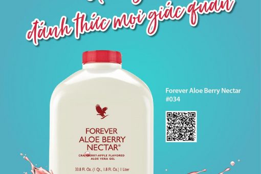 Bình Gel Lô Hội Forever Aloe Berry Nectar (034 Flp) Có Tốt Không?