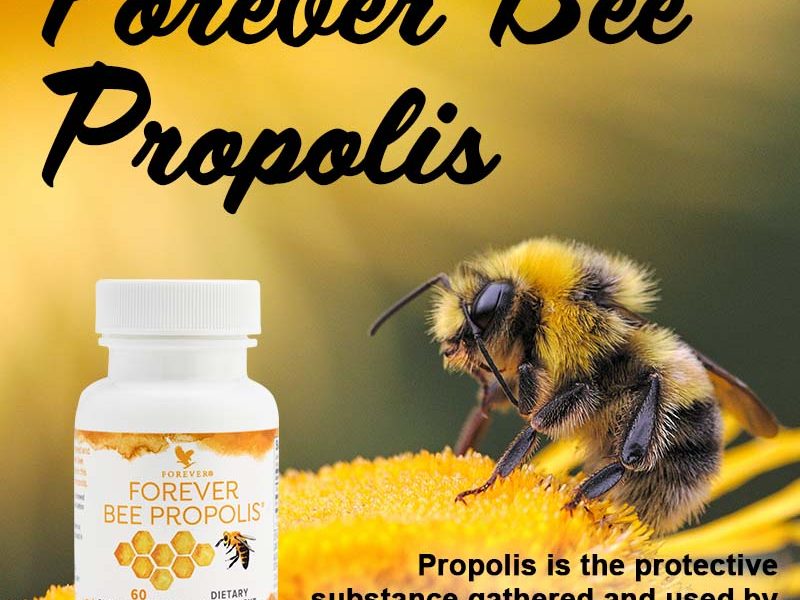 Viên Keo Ong -Forever Bee Propolis (027 Flp) Có Tốt Không?