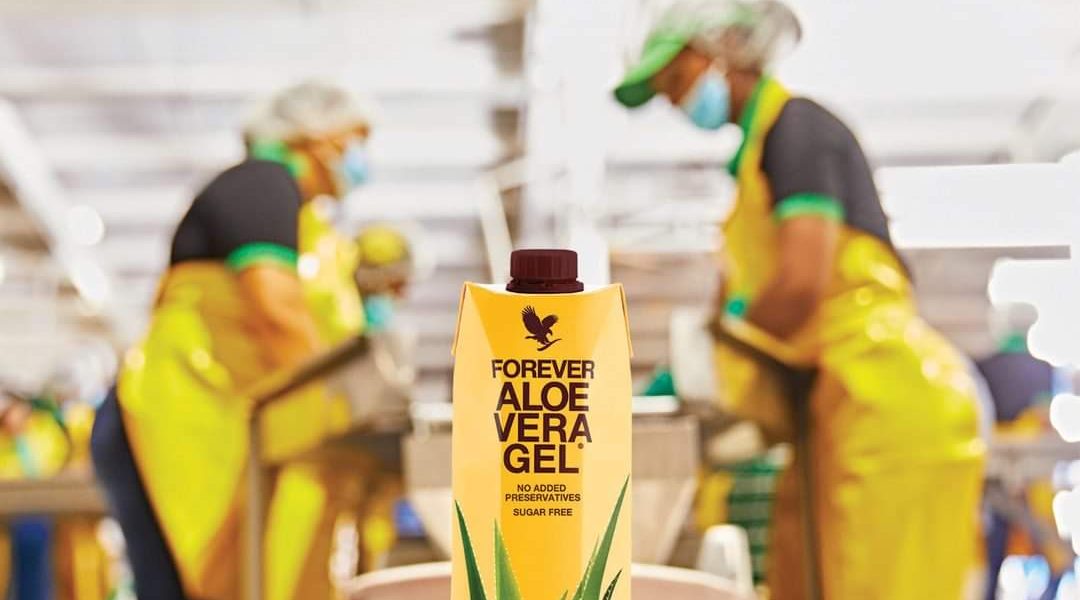 Nước uống bảo vệ sứ khỏe từ Aloe Vera – Nha Đam của Flp – Forever Living Products