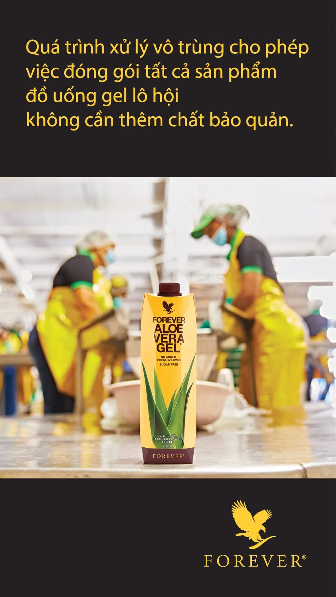 Nước uống bảo vệ sứ khỏe từ Aloe Vera - Nha Đam của Flp - Forever Living Products