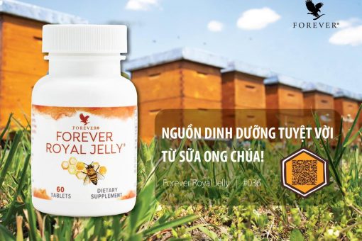 Sữa Ong Chúa Forever Royal Jelly (036 Flp) Nguồn Dinh Dưỡng Tuyệt Vời